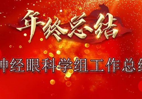 2020年终盘点丨神经眼科学组工作总结